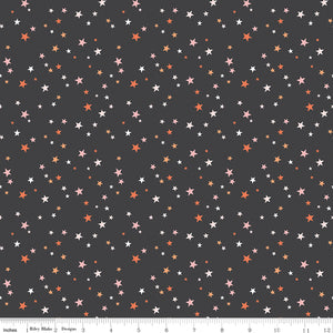 Hey Pumpkin - Stars Charcoal by My Mind's Eye