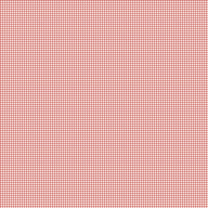 Mary Catherine Gingham Faded Red by Amy Smart