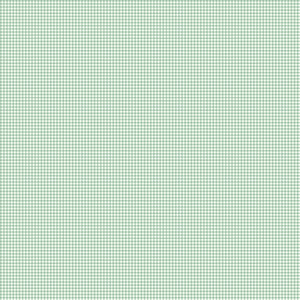 Mary Catherine Gingham Sage by Amy Smart