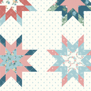 Mary Catherine Star Cheater Print Multi by Amy Smart