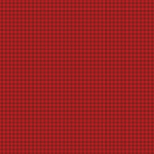COMING SOON - Sew in Love Gingham Red by Dani Mogstad
