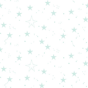 Hush Hush 5 Wish Upon a Star by Sarah Jane