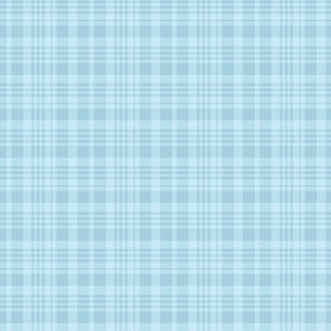 COMING SOON - Winnie the Pooh Plaid Blue by Echo Park Paper Co.