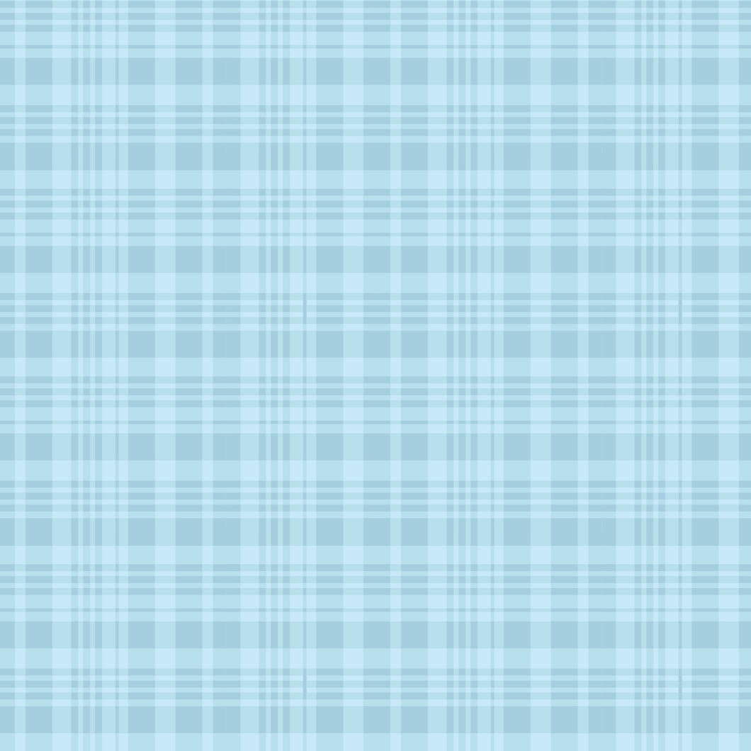 COMING SOON - Winnie the Pooh Plaid Blue by Echo Park Paper Co.