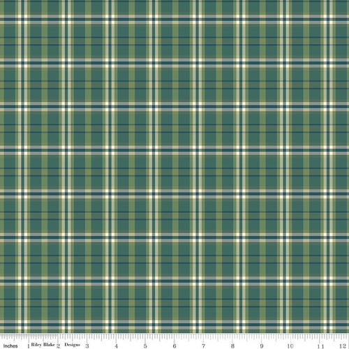 COMING SOON - A Spoonful of Sugar Plaid Poppins Grass by Jennifer Long
