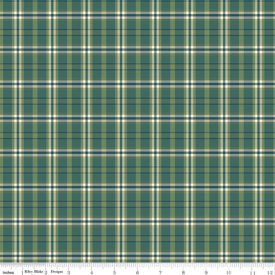 COMING SOON - A Spoonful of Sugar Plaid Poppins Grass by Jennifer Long