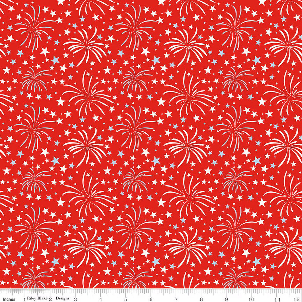 COMING SOON - Firecracker Fireworks Red Hen by My Mind's Eye