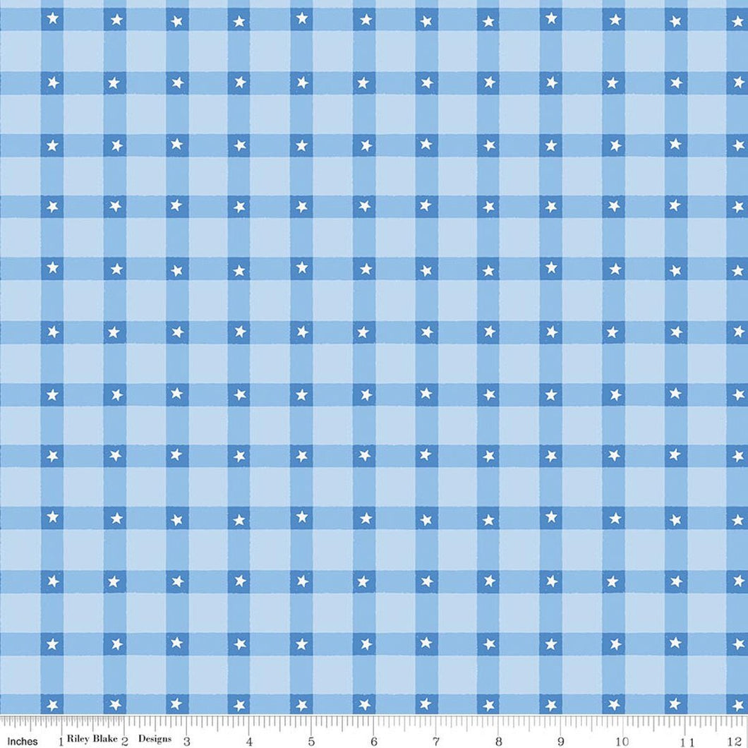 COMING SOON - Firecracker Plaid Frost by My Mind's Eye