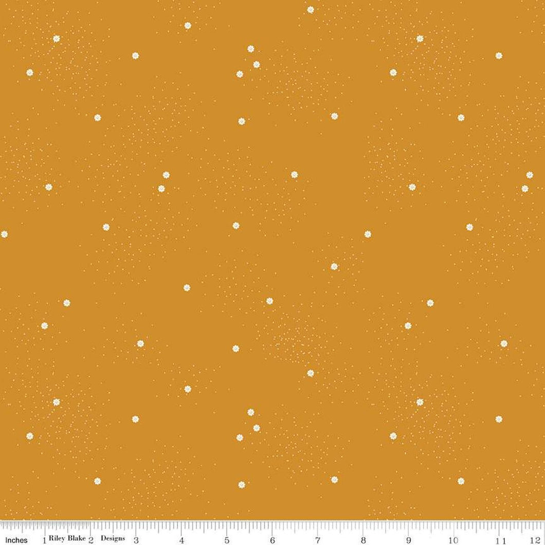 Dainty Daisy Butterscotch by Beverly McCullough