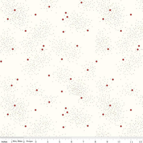Dainty Daisy on Cloud Barn Red by Beverly McCullough