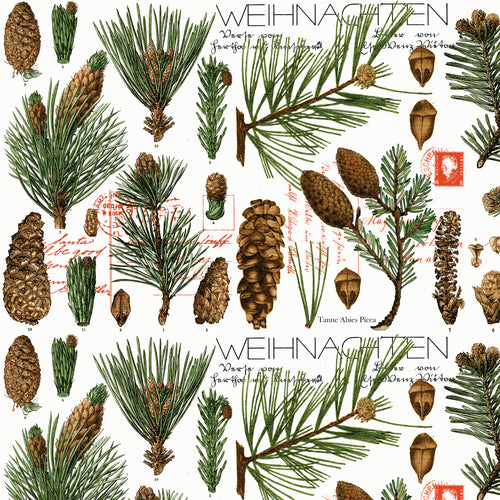 Classic Christmas Botanical Pines White by J. Wecker Frische
