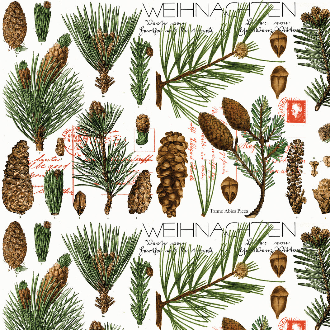 Classic Christmas Botanical Pines White by J. Wecker Frische
