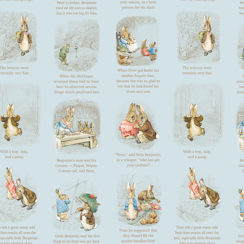 COMING SOON - Peter Rabbit and Benjamin Bunny Story Time Blue by Beatrix Potter for Riley Blake Designs
