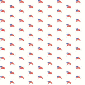 COMING SOON - Sew America USA Flags White by J. Wecker Frisch