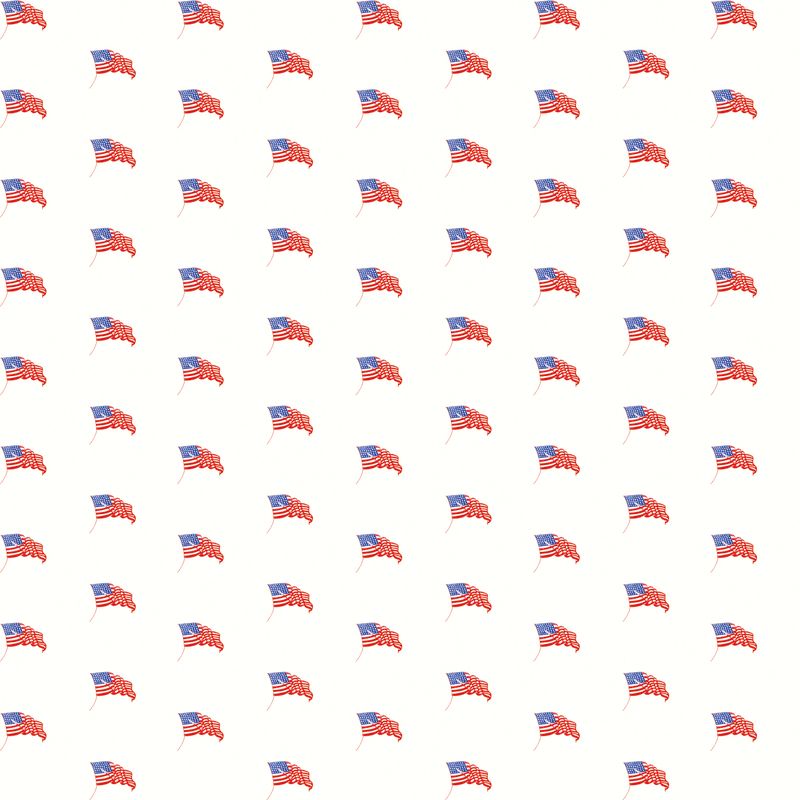 COMING SOON - Sew America USA Flags White by J. Wecker Frisch