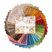 Load image into Gallery viewer, Autumn Fat Quarter Bundle by Lori Holt