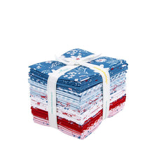 Load image into Gallery viewer, Firework Fields Fat Quarter Bundle by Gracey Larson