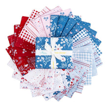 Load image into Gallery viewer, Firework Fields Fat Quarter Bundle by Gracey Larson