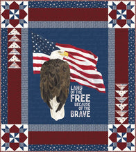 Load image into Gallery viewer, RESERVATION - Valor is Never Forgotten Land of the Free Boxed Panel Quilt Kit by Tara Reed