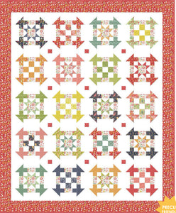 Raspberry Summer Fireflies Quilt Kit by Sherri & Chelsi