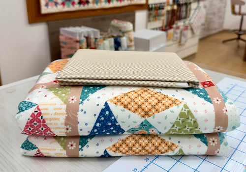 EXCLUSIVE - Double Lush Velvet Blanket Kit - Bee Vintage by Lori Holt