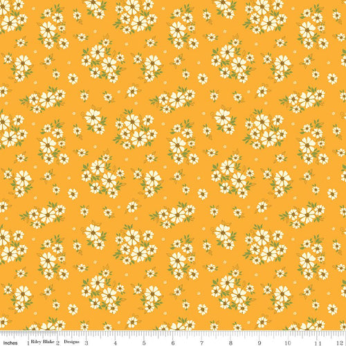 Autumn Afternoon - Daisies Saffron by Heather Peterson
