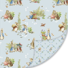 Load image into Gallery viewer, EXCLUSIVE - Double Lush Velvet Blanket Kit - Peter Rabbit and Benjamin Bunny by Beatrix Potter