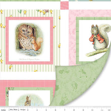 Load image into Gallery viewer, EXCLUSIVE - Double Lush Velvet Blanket Kit - Peter Rabbit and Friends Blanket Kit by Beatrix Potter