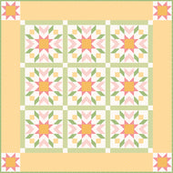 Bee Ginghams Gingham Stars Quilt Kit - Spring by Lori Holt