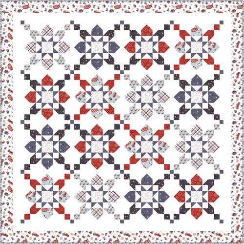 RESERVATION - Stars and Stripes Forever Jubilant Quilt Kit by Wendy Sheppard