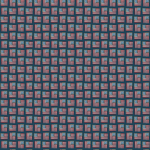 Sweet Freedom - Flags Oxford Sparkle by Beverly McCullough