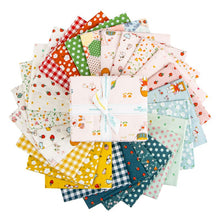 Load image into Gallery viewer, Serendipity 2 Fat Quarter Bundle by Minki Kim