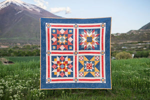 Americana Quilt Seeds Fabric Kit - Americana Star No. 3 by Lori Holt