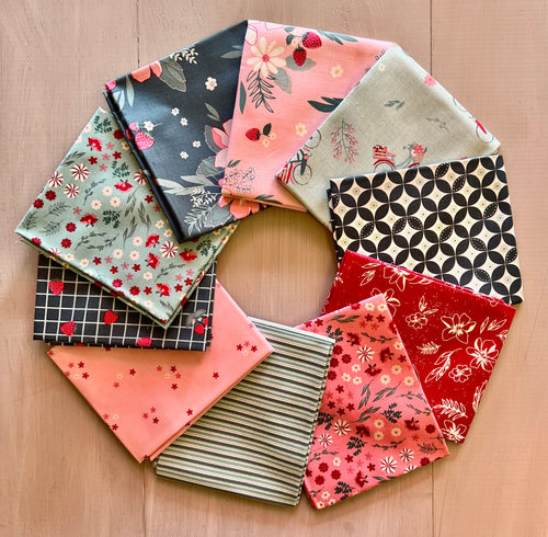 Fat Quarter Friends with Riley Blake Designs - June 2025