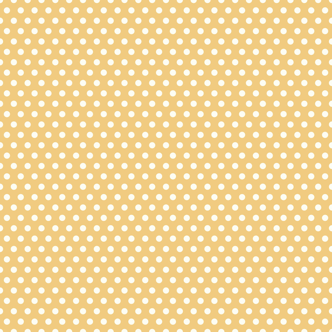 Sunsetridge Dots Honey by Minki Kim