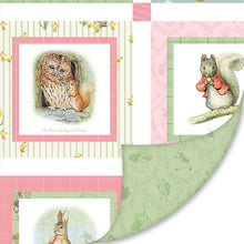 Load image into Gallery viewer, EXCLUSIVE - Double Lush Velvet Blanket Kit - Peter Rabbit and Friends Blanket Kit by Beatrix Potter