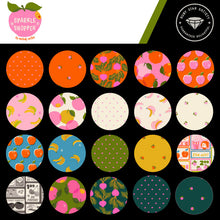 Load image into Gallery viewer, RESERVATION - Sparkle Shopper Fat Quarter Bundle by Melody Miller for Ruby Star Society
