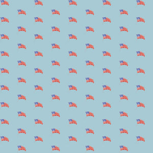 COMING SOON - Sew America USA Flags Blue by J. Wecker Frisch