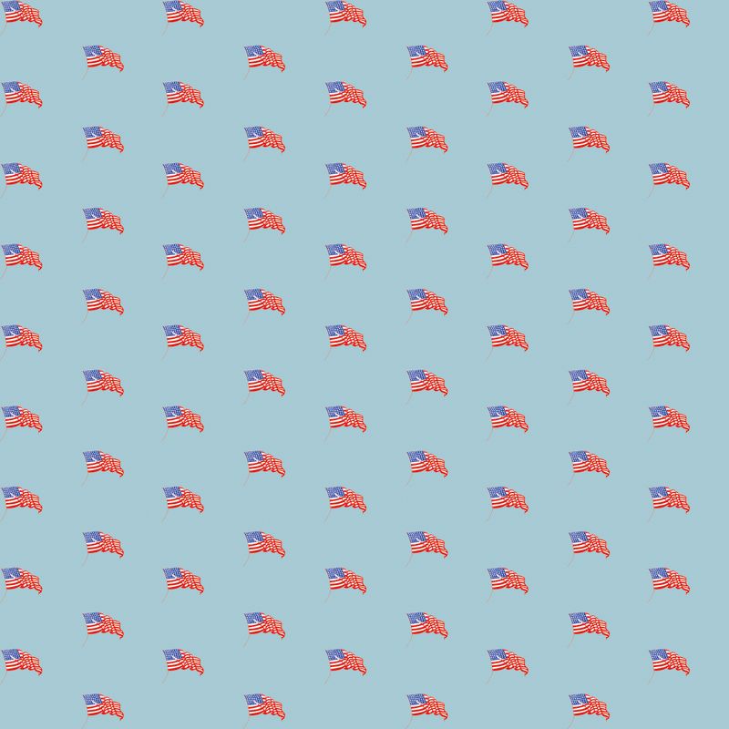 COMING SOON - Sew America USA Flags Blue by J. Wecker Frisch