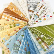 Load image into Gallery viewer, Animal Park Fun Fat Quarter Bundle by Stacy Iest Hsu