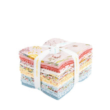 Load image into Gallery viewer, Sketchbook Fat Quarter Bundle by Lisa Audit