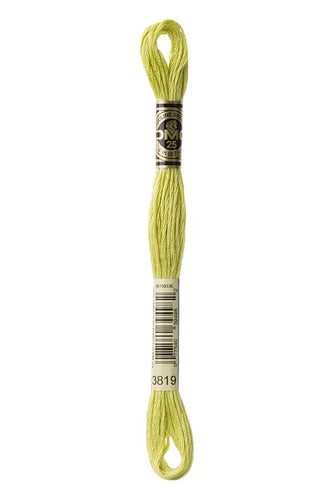 DMC Floss - 3819