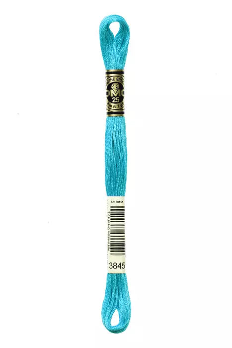 DMC - 3845