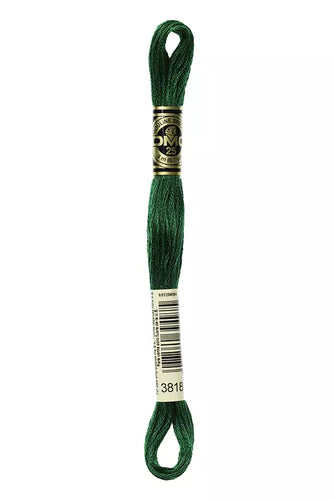 DMC Floss - 3818