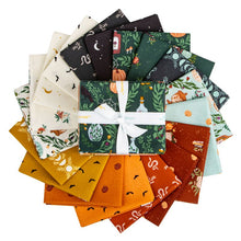 Load image into Gallery viewer, The Apothecary Fat Quarter Bundle by Amber Elliot