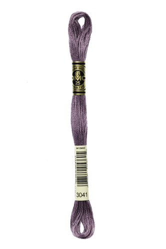 DMC Floss - 3041