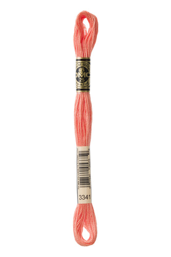 DMC Floss - 3341