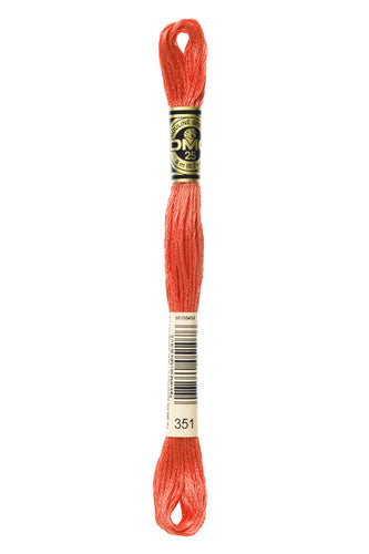 DMC Floss - 351