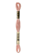 DMC Floss - 3046