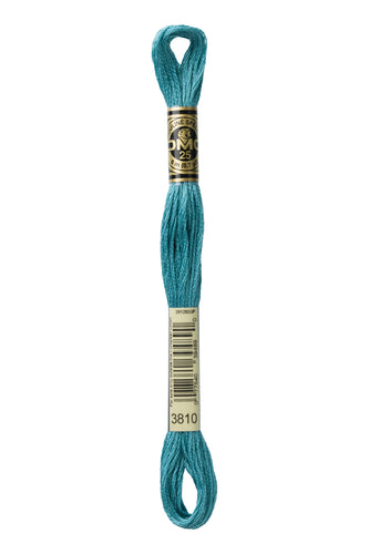 DMC Floss - 3810